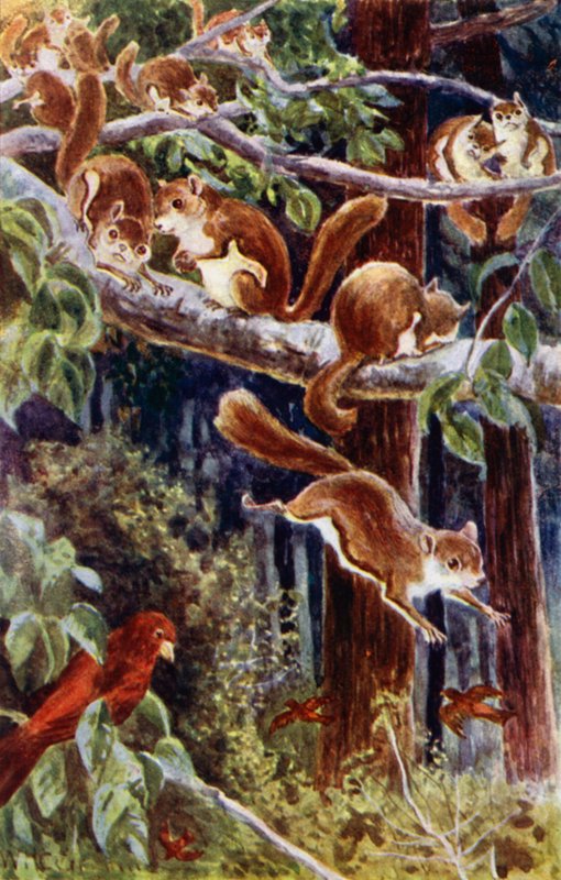 "Onları eğlenirken izlemek ne kadar da keyifliydi!" (renkli taş) by William Henry Charles Groome