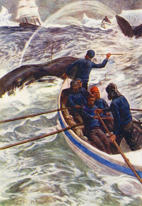 Buz Dünyası veya Yunusun Balina Avcılığı Gezisi için İllüstrasyon (renkli litho) by William Henry Charles Groome