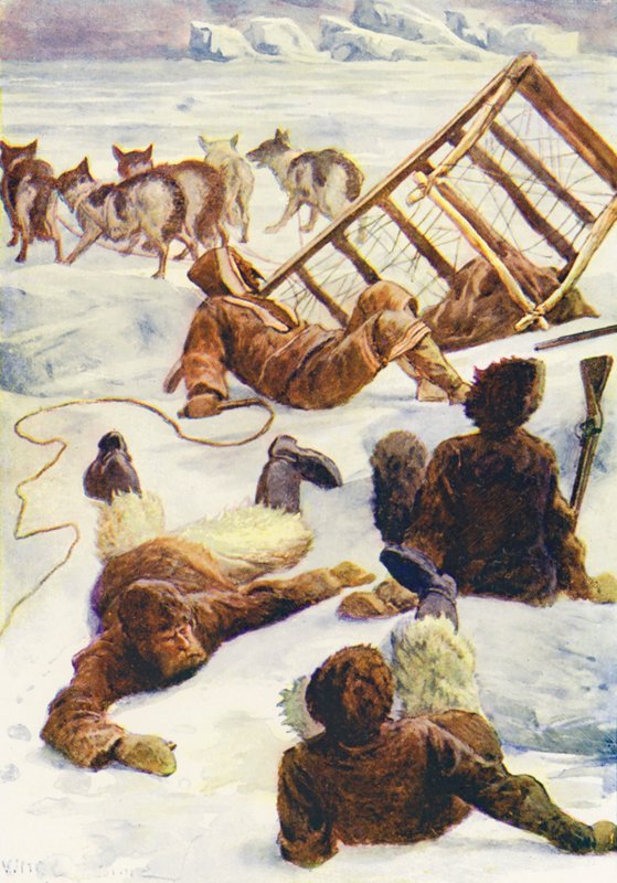 Buz Dünyası veya Yunusun Balina Avcılığı Gezisi için İllüstrasyon (renkli litho) by William Henry Charles Groome