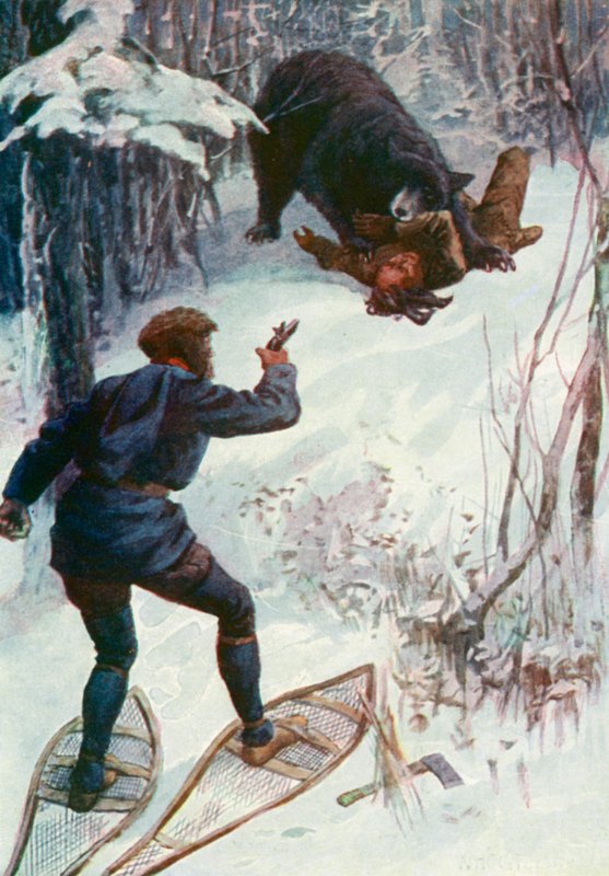 The bear stood over him, holding one of his arms in its mouth  by William Henry Charles Groome