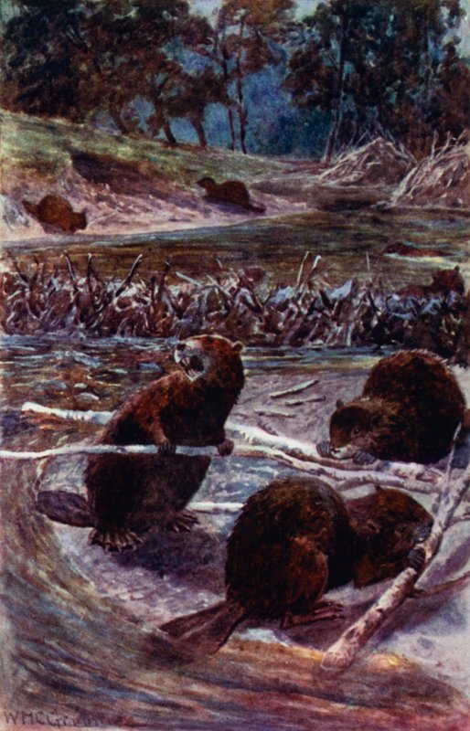 "Dere boyunca bir baraj inşa ediyorlar" (renkli taş) by William Henry Charles Groome