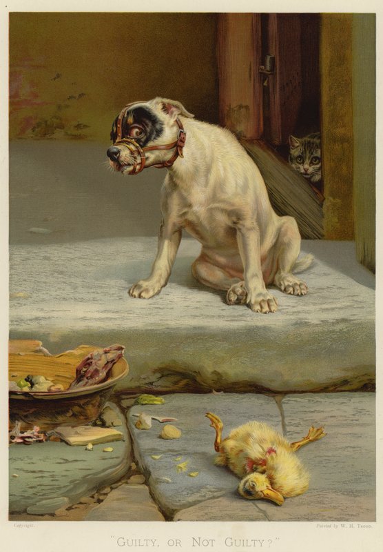 Suçlu veya Suçlu Değil (chromolitho) by William Henry Hamilton Trood