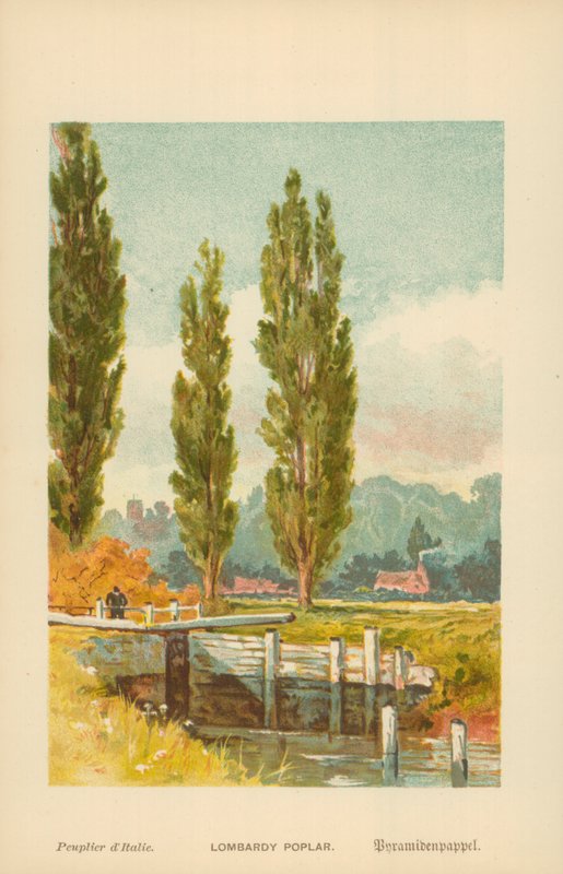 Lombardiya Kavağı by William Henry James Boot