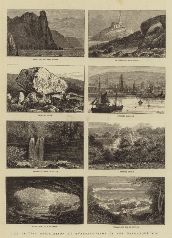 The British Association at Swansea, Mahalleden Görüşler by William Henry James Boot