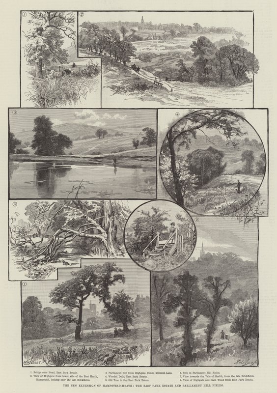 Hampstead-Heath