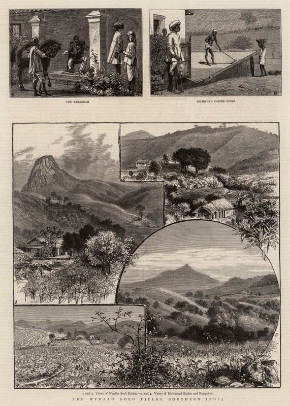 Wynaad Altın Tarlaları, Güney Hindistan by William Henry James Boot