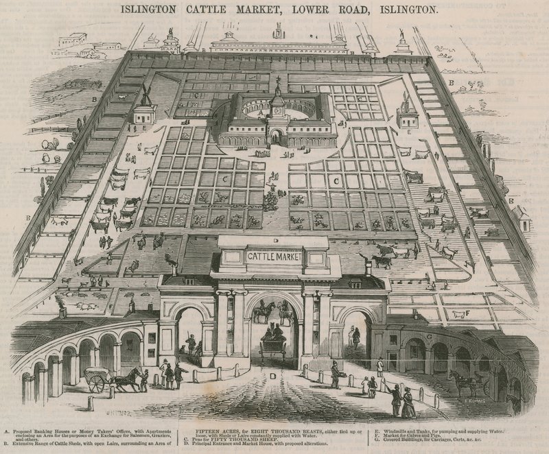 Islington Sığır Pazarı, Lower Road, Islington, Londra by William Henry Prior