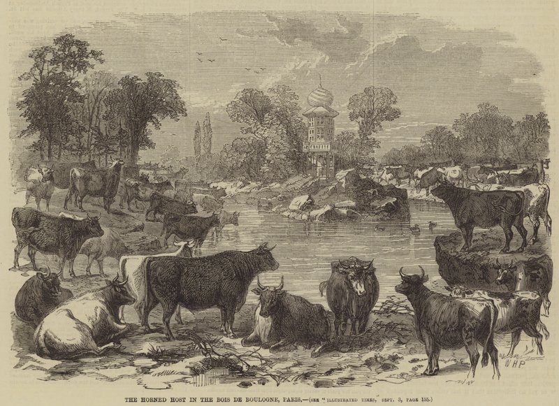 Bois de Boulogne, Paris