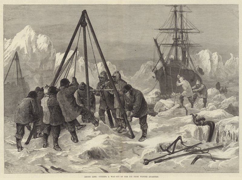 Arctic Life, Kışlık Bölgelerden Buzdan Çıkış Yolu Kesiyor by William Heysham Overend