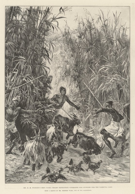 Bay HM Stanley'nin Emin Paşa Yardım Seferi, Yambuya Kampı için malzeme arıyor by William Heysham Overend