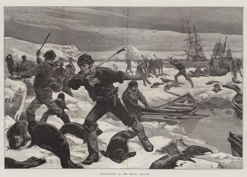 Arktik Bölgelerde Fok Avı by William Heysham Overend