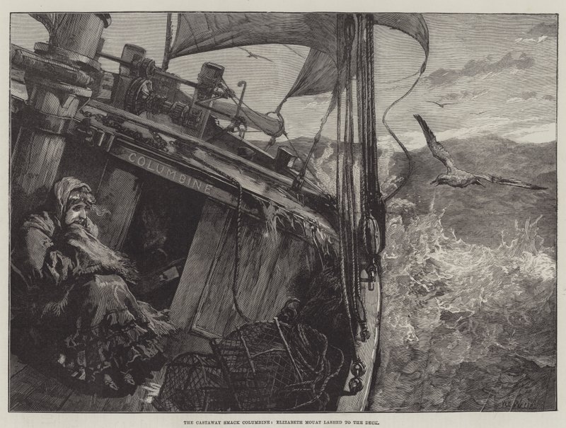 Castaway Smack Columbine, Elizabeth Mouat güverteye fırladı by William Heysham Overend