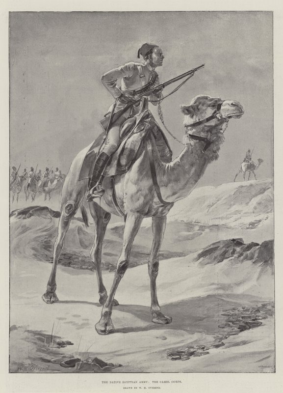 Yerli Mısır Ordusu, Deve Kolordusu by William Heysham Overend