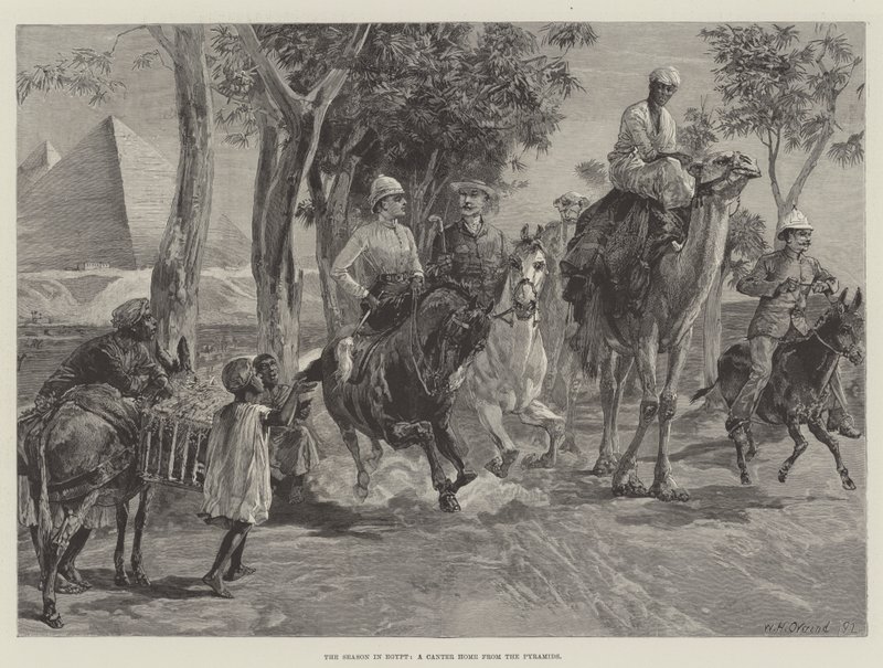 Mısır