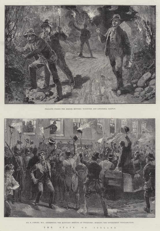 ಐರ್ಲೆಂಡ್ ರಾಜ್ಯ ಟರ್ಕಿ by William Heysham Overend