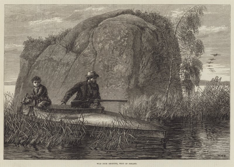 Yaban Ördeği Çekimi, Batı İrlanda gravürü by William Heysham Overend