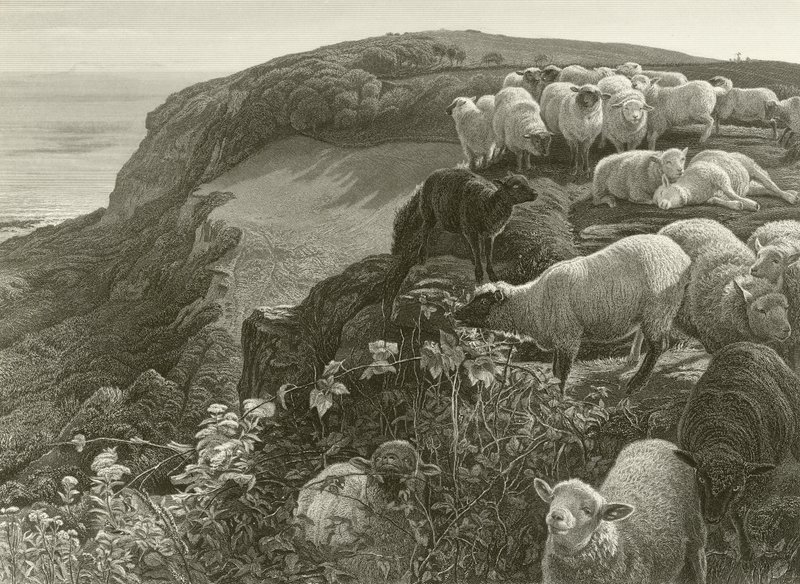 Yamaçta (gravür) by William Holman Hunt