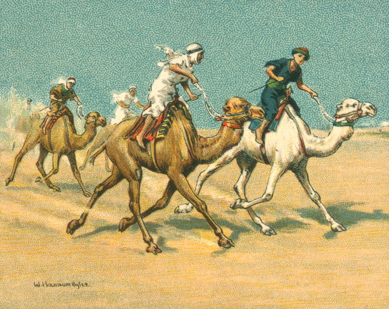 Yarışlar Tarihi ve Modern, Deve Yarışları (chromolitho) by William Hounsom Byles