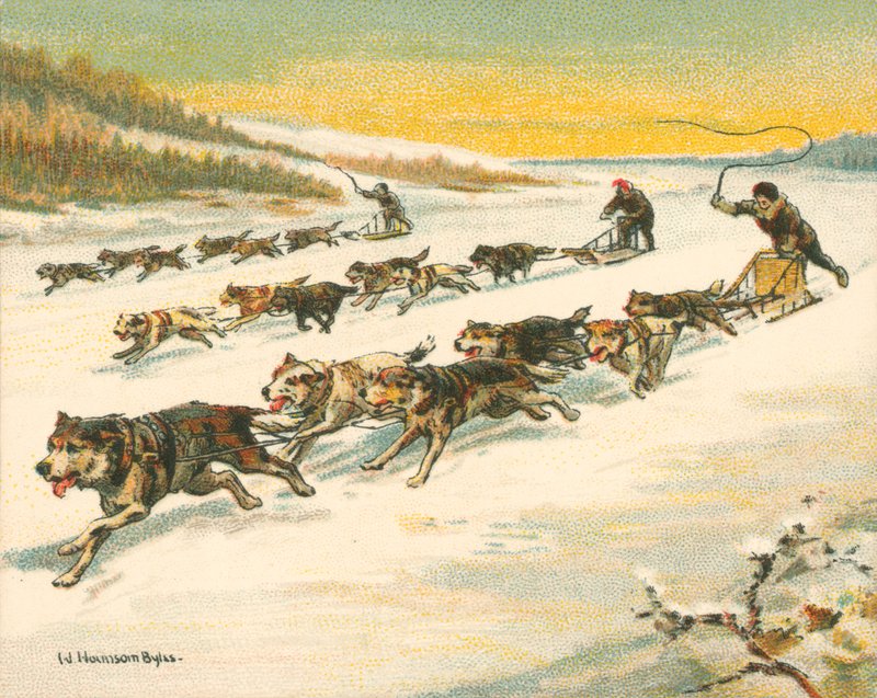 Yarışlar Tarihi ve Modern, Kanada Köpek Kızağı Yarışları (chromolitho) by William Hounsom Byles