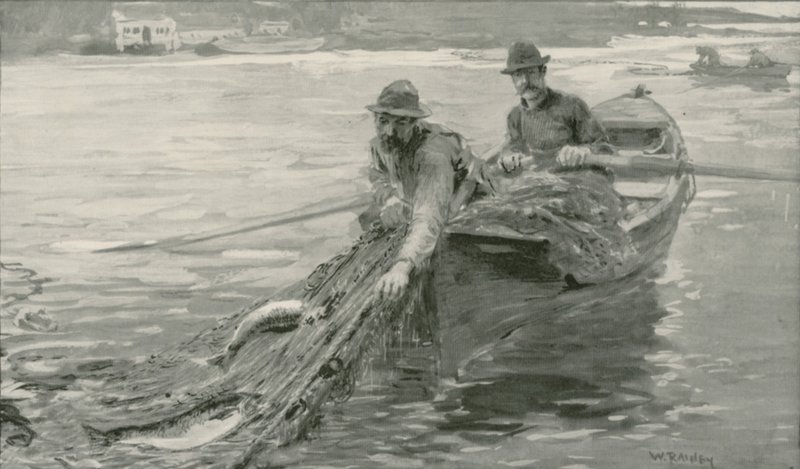 Britanya Kolumbiyası, Fraser Nehri Üzerinde Ağ Somonu by William Rainey