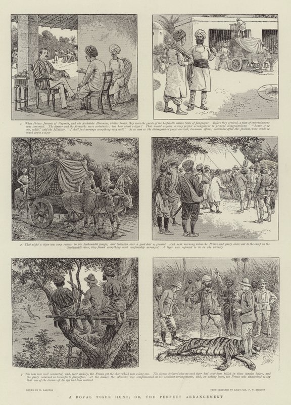 Kraliyet Kaplan Avı veya Mükemmel Düzenleme by William Ralston