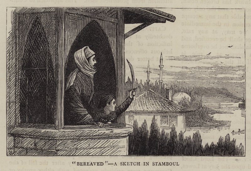 Yaslı, İstanbul'da Bir Eskiz by William Ralston