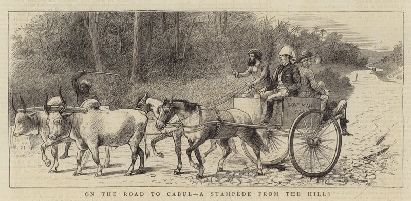 Tepelerden Bir İzdiham, Cabul Yolunda by William Ralston