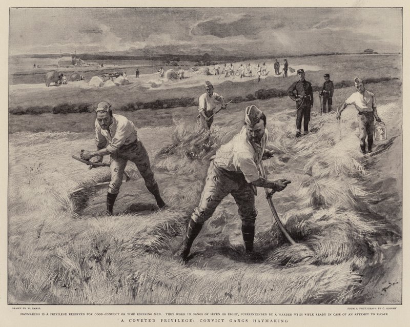Coveted Ayrıcalık, Mahkum Çeteleri Haymaking by William Small