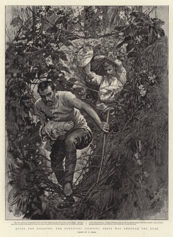 Felaketten sonra, Kurtulanlar Bush'a doğru savaşıyorlar by William Small