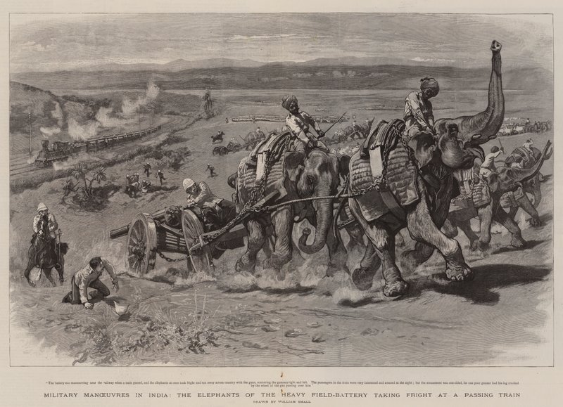 Hindistan'daki Askeri Manevralar, Ağır Saha Pilinin Filleri Geçen Bir Trende Korkuyor by William Small