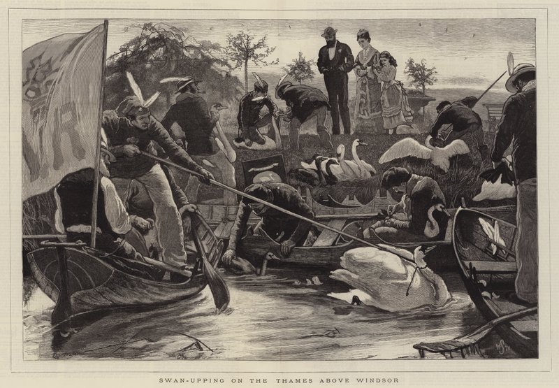 Windsor'un üzerindeki Thames Nehri'nde Kuğulama by William Small