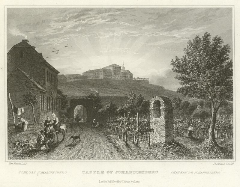 Johannesburg Kalesi by William Tombleson