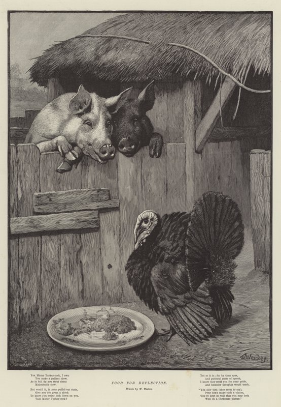 Yansıma için Gıda by William Weekes