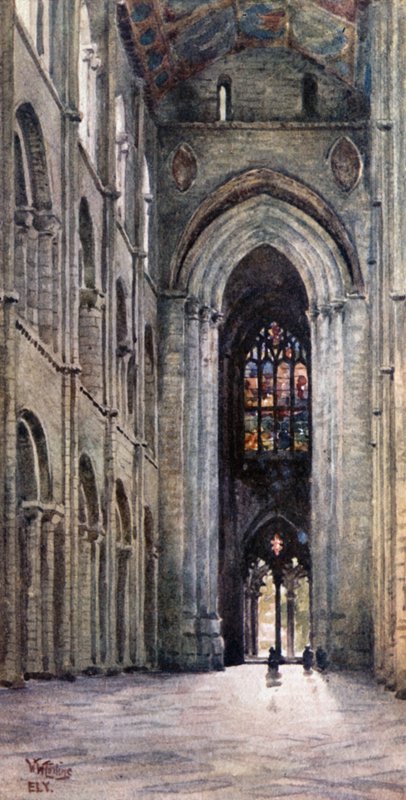 Ely, Nef