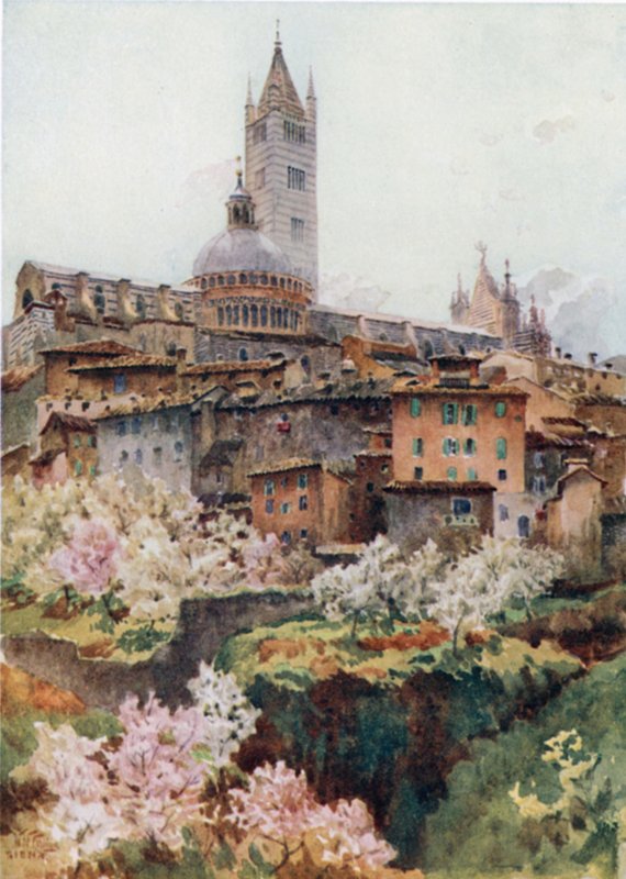Siena. Katedral (renkli taş) by William Wiehe Collins