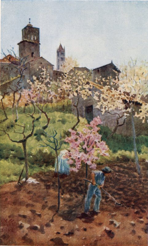 Siena. Duvarların Altında (renkli taş) by William Wiehe Collins