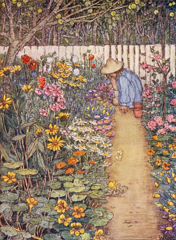  by Winifred Cayley Robinson