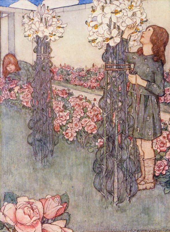  by Winifred Cayley Robinson