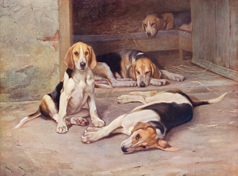  by Wright Barker