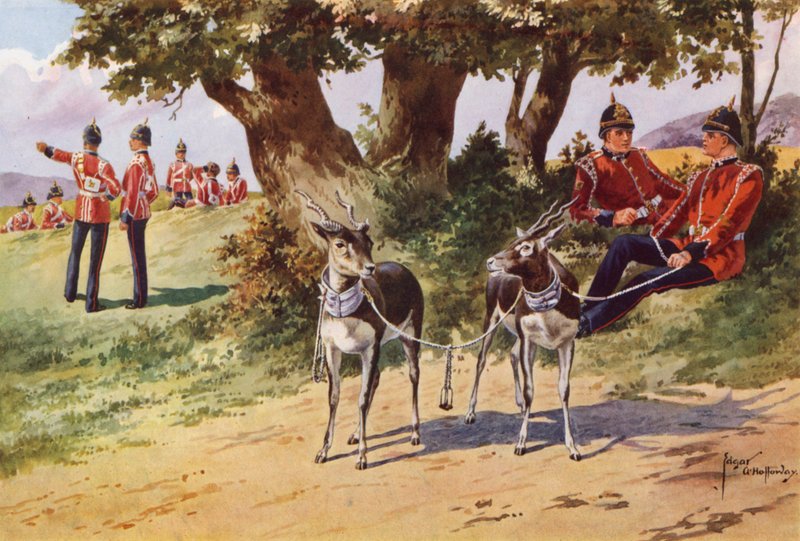 Kraliyet Warwickshire Alayı