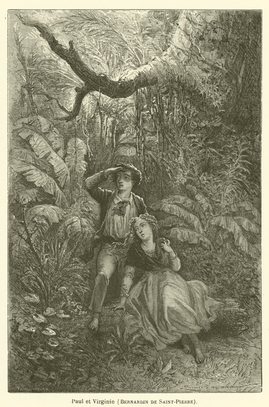 Paul ve Virginie, Bernardin de Saint-Pierre by after Emile Antoine Bayard