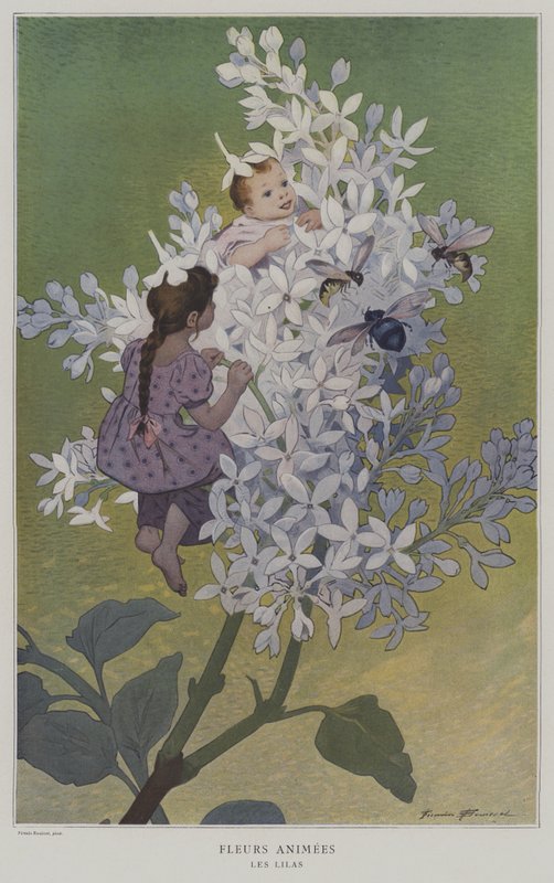 Fleures Animeleri. Les Lilas. (Animasyonlu Çiçekler: Leylaklar) by after Firmin Bouisset