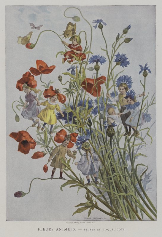 Fleurs Animeleri. Bleuets ve Coquelicots. (Animasyonlu Çiçekler: peygamberçiçekleri ve haşhaşlar) by after Firmin Bouisset