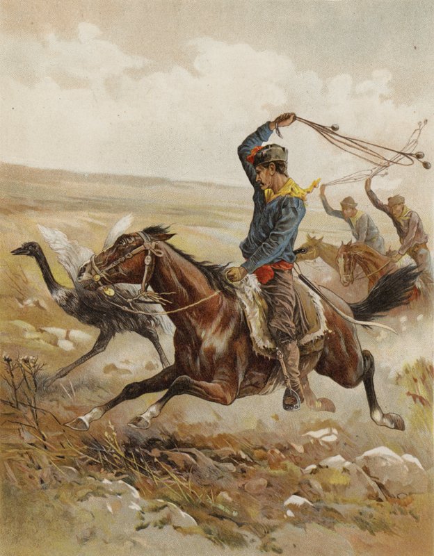 Devekuşu Avı, Güney Amerika (chromolitho) by after Frank Feller