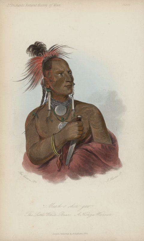 Meach-o shin-gaw, Küçük Beyaz Ayı, Bir Konza Savaşçısı (aquatint) by after George Catlin