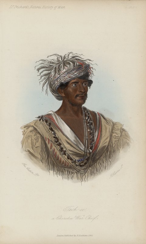 Tuch-ee, bir Cherokee Savaş Şefi (aquatint) by after George Catlin