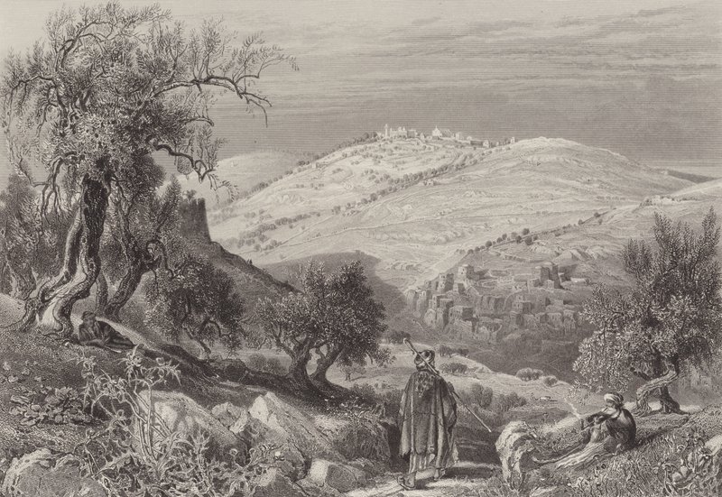 Olivet