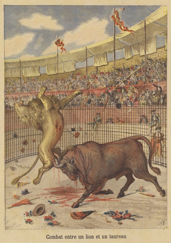aslan ve boğa arasındaki savaş by after Henri Meyer