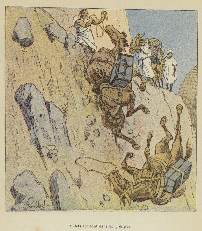Bir uçuruma düşen katır by after Louis Charles Bombled