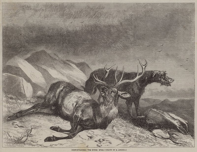 Geyik Avcısı, Ölen Geyik by after Richard Ansdell